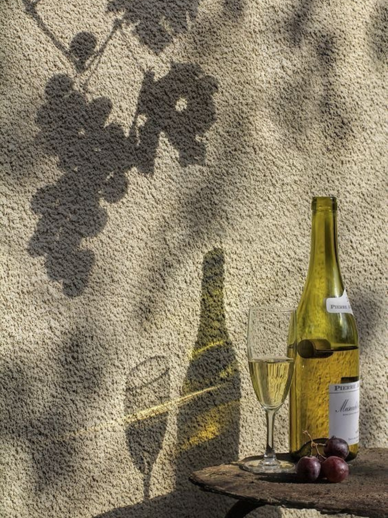 Le Paréo - Imprimé Paon Rouge - Vert