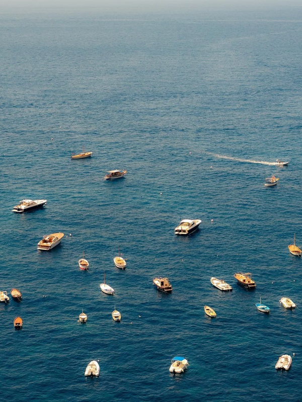 Le Paréo - Imprimé Bordeaux - Bleu